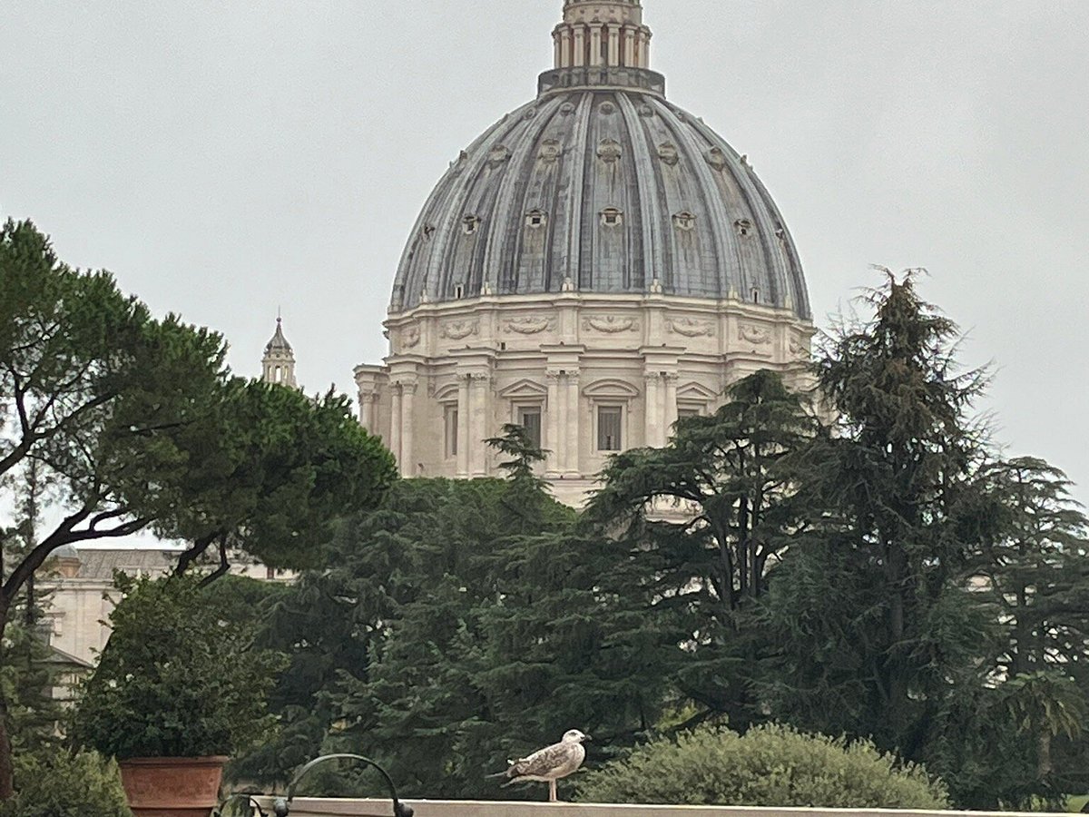 walks of italy vatican tour