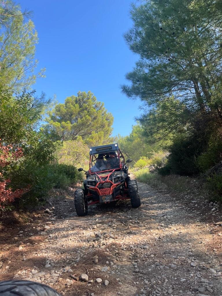 Buggy riding near sales me