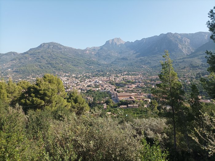 Imagen 7 de Tren De Sóller