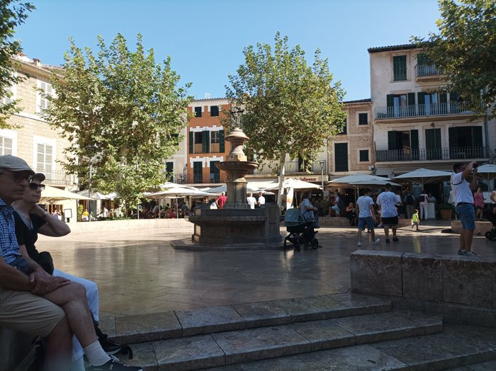 Imagen 6 de Tren De Sóller