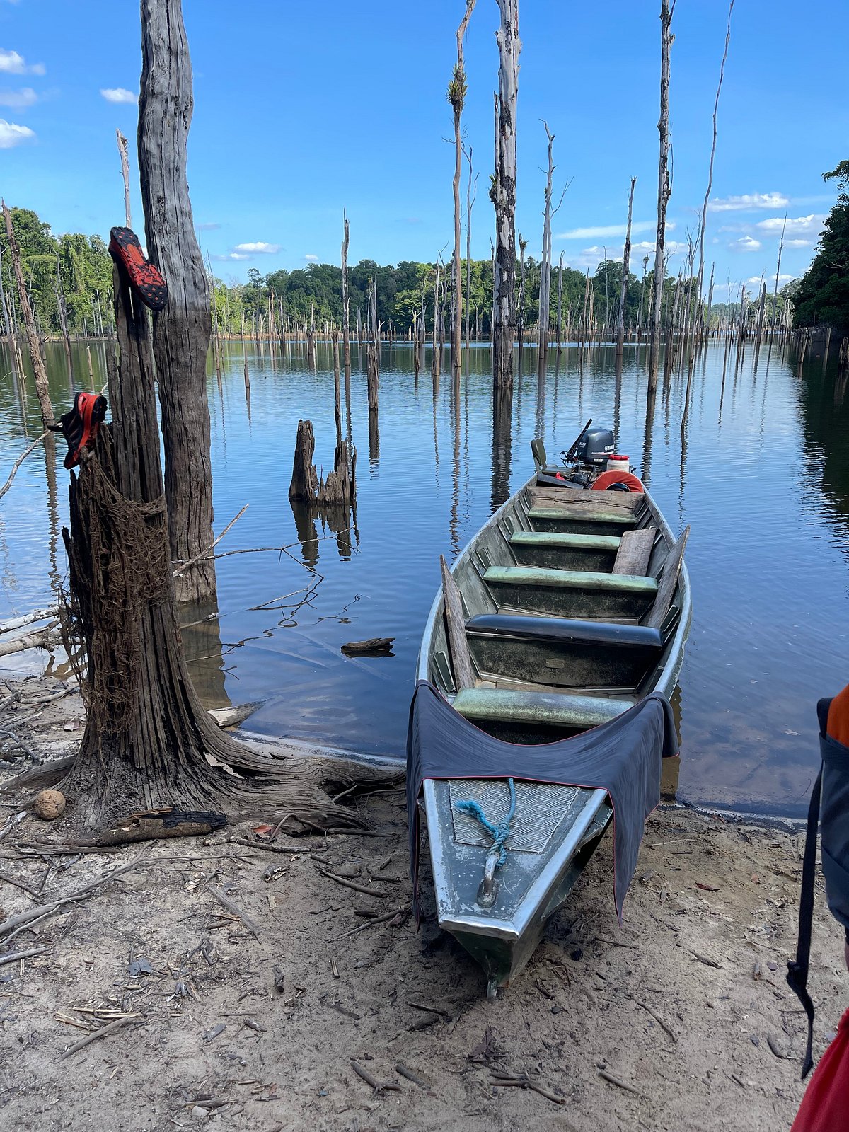 Nature de Guyane, Sinnamary: лучшие советы перед посещением - Tripadvisor