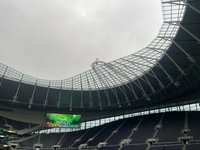 Torcida do Luton Town leva cachorro para assistir o jogo contra o Tottenham  : r/futebol