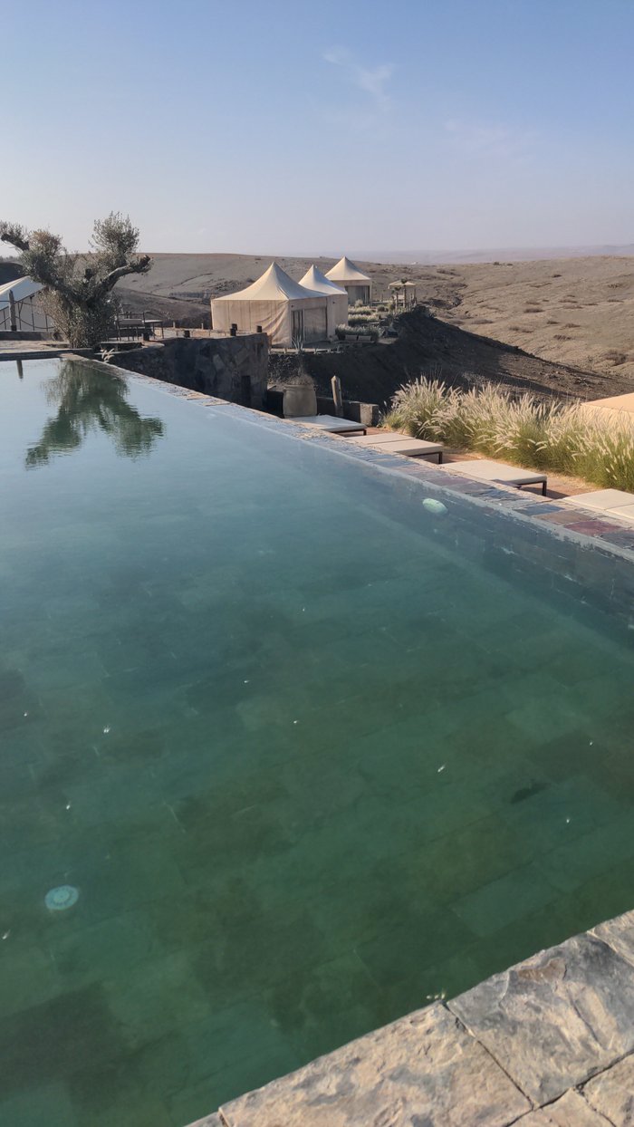 The White Camel Pool: Pictures & Reviews - Tripadvisor