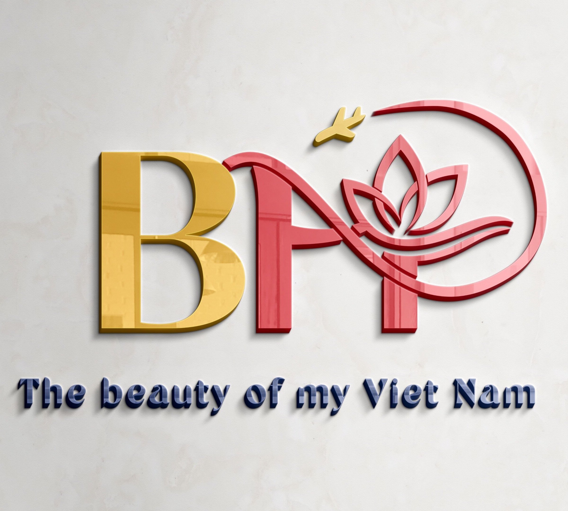 bi-s-house-viet-nam-travel-hoi-an-vietnam-hours-address-tripadvisor