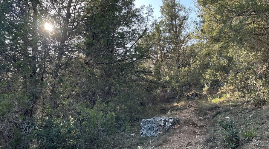 Hacia las cuevas bajo la Ermita de San Pelayo (1)