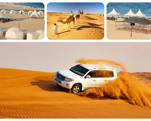 tours in qatar