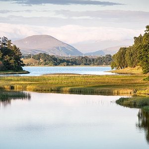 Glen Affric - The NC500 Experience