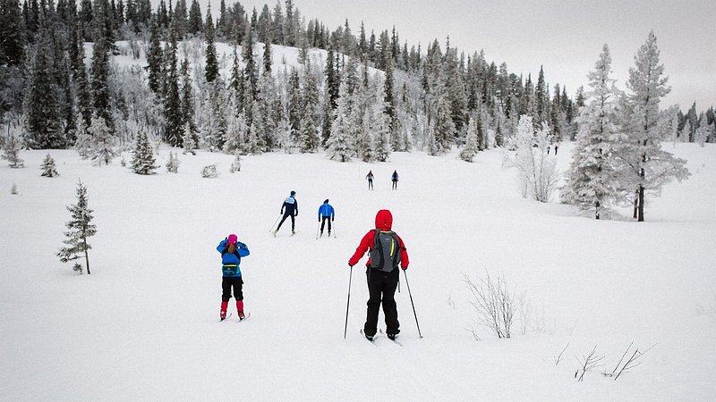노르웨이 헴세달의 눈밭에서 스키를 즐기는 스키어들
