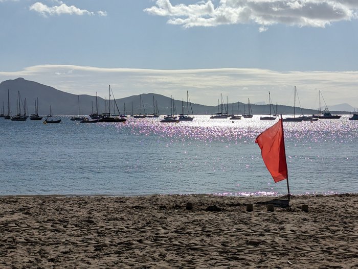 Imagen 2 de Playa del Puerto de Pollensa