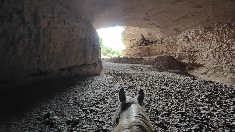 dans la grotte sous minerve (34)
