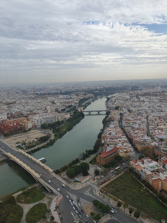 Imagen 7 de Torre Sevilla