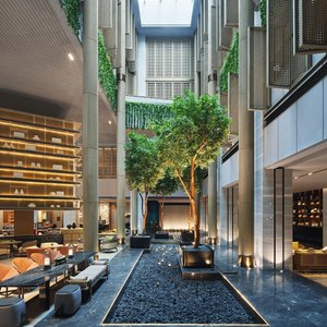 The Lounge