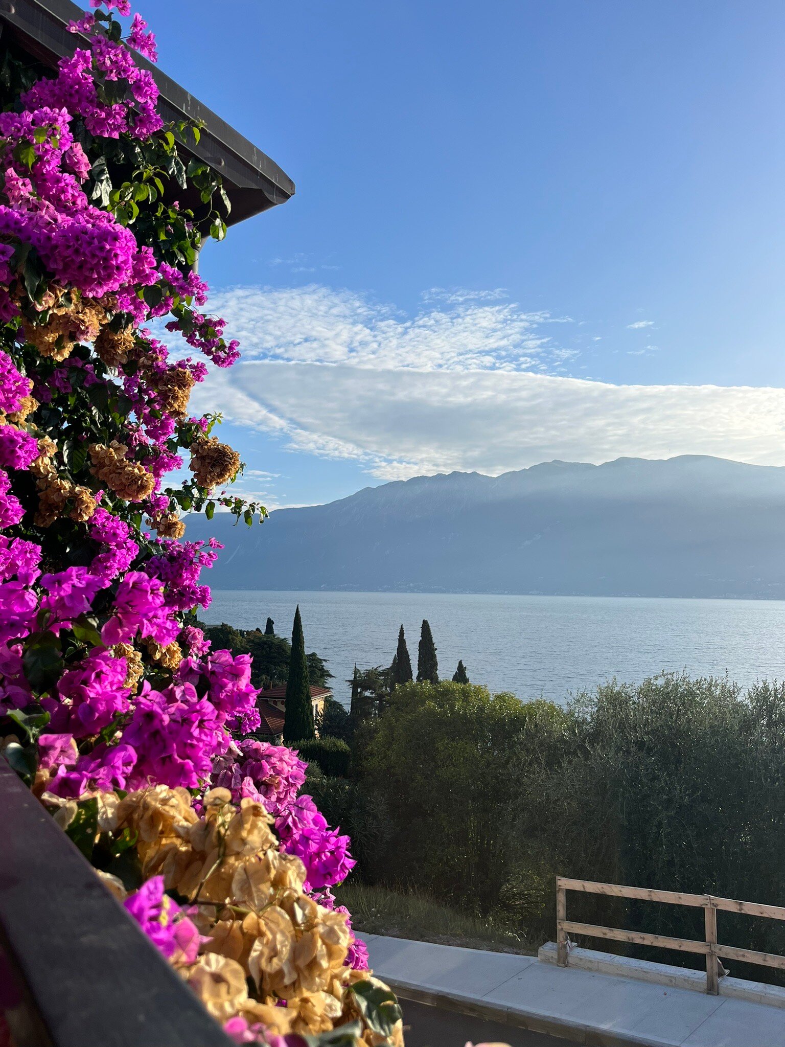 HOTEL MEANDRO - Updated 2024 Prices & Reviews (Lake Garda/Gargnano, Italy)