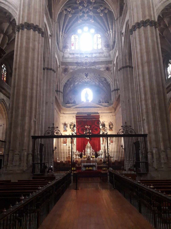 Imagen 10 de Catedral Nueva