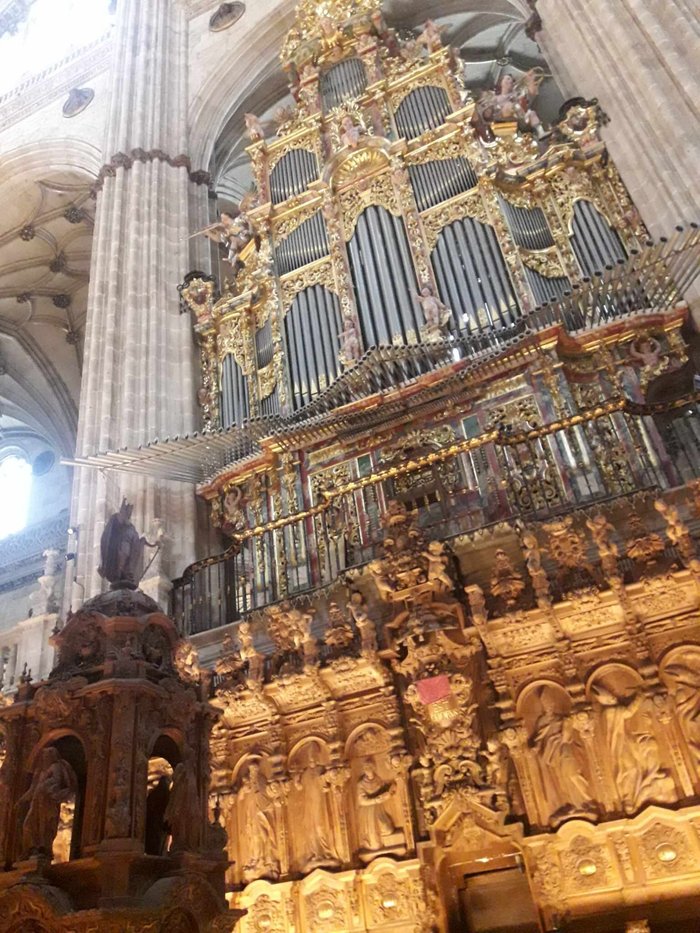 Imagen 8 de Catedral Nueva