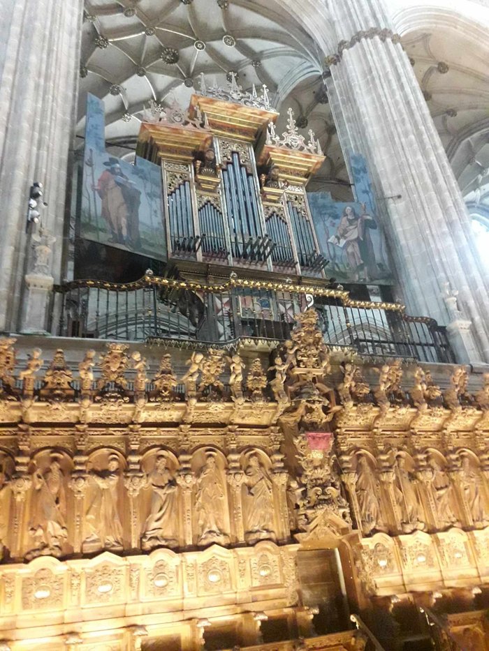 Imagen 7 de Catedral Nueva