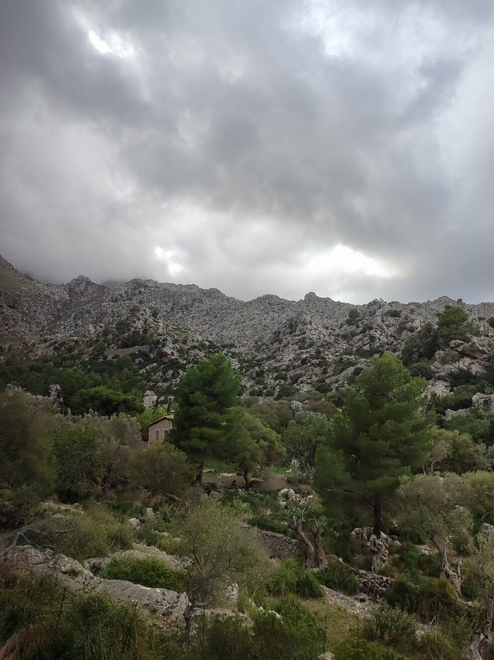 Imagen 6 de Cala de Sa Calobra