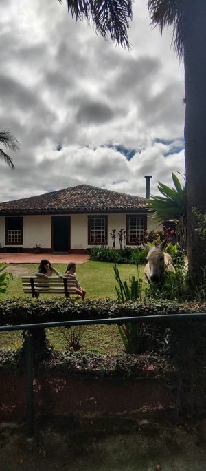 maridão matando a saudades de anda a cavalo - Picture of Hotel Fazendao,  Santa Branca - Tripadvisor