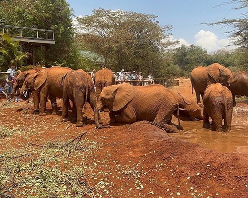  Safari Park Kenia  thumbnail