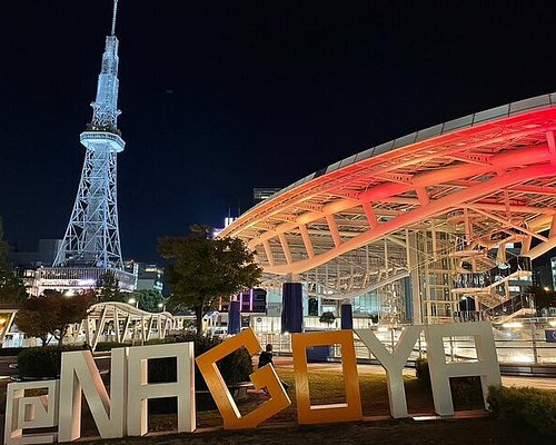 japan city tour review