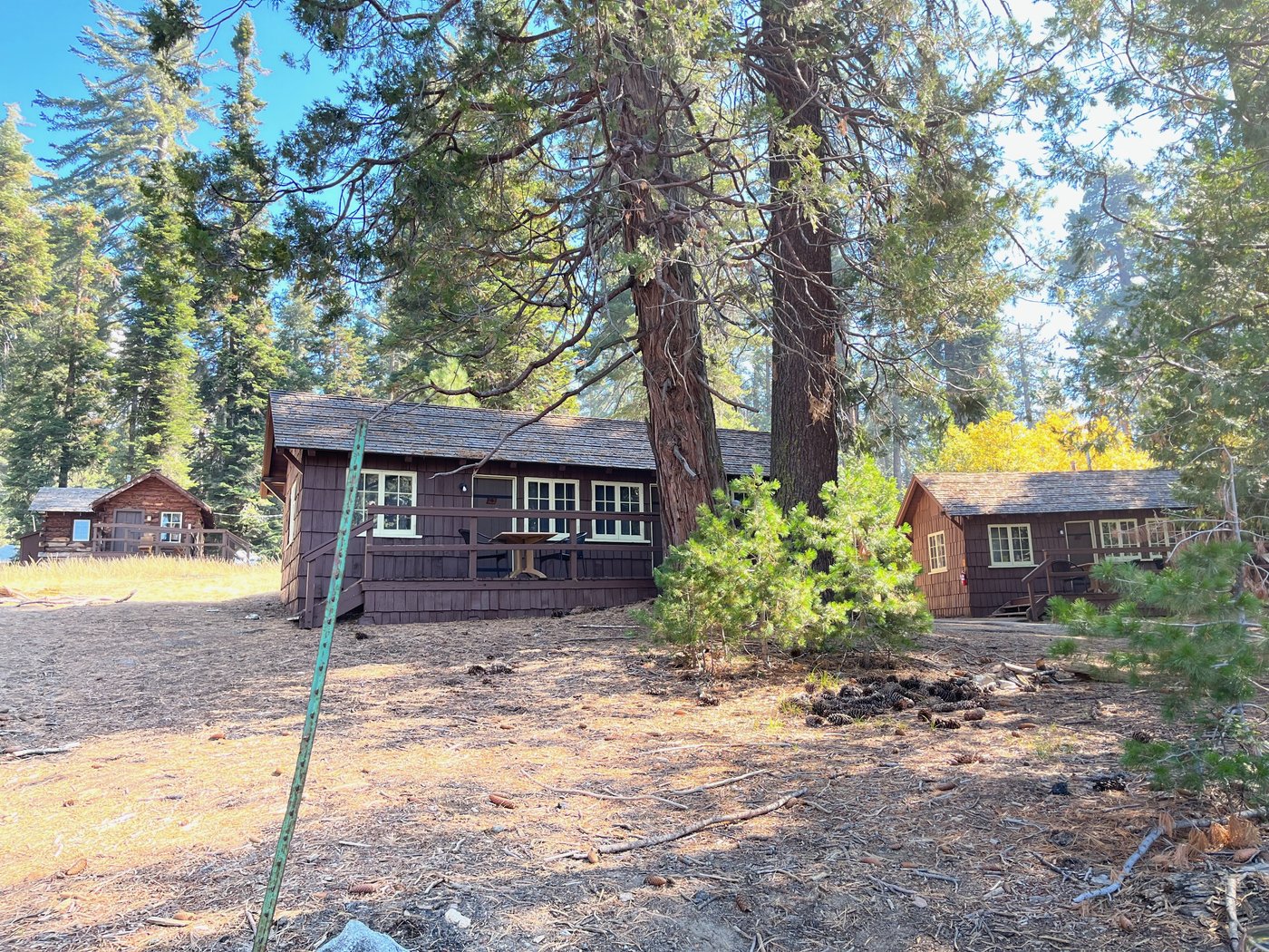 GRANT GROVE CABINS - Updated 2024 Campground Reviews (Sequoia and Kings ...