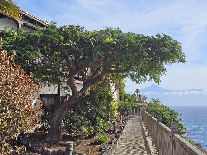 Imagen 24 de Parador de la Gomera