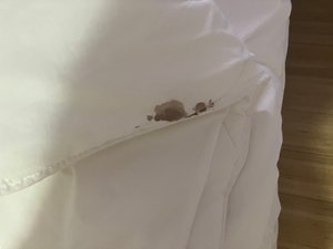 Chambre et suite