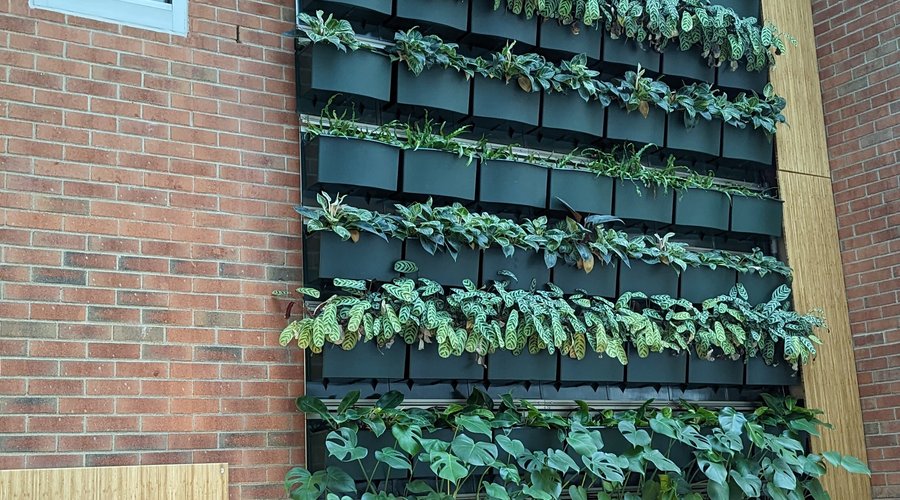 While you're here, don't forget to check out our living wall and atrium garden. 