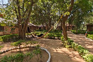 TIGER TRAILS RESORT (Tala, Madhya Pradesh) - Resort Reviews, Photos, Rate  Comparison - Tripadvisor