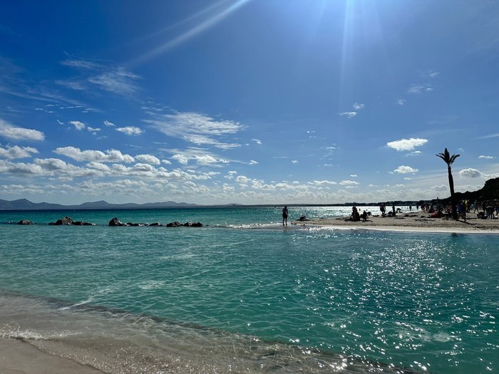 Imagen 7 de Playa de Alcudia