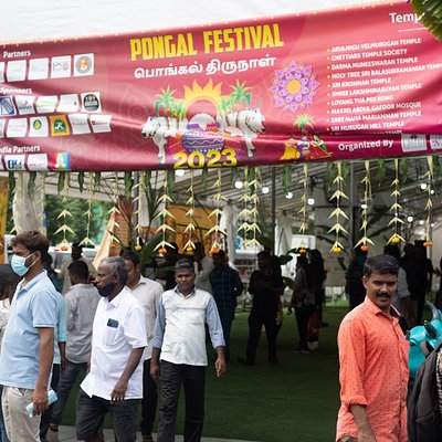 Pongal Festival 