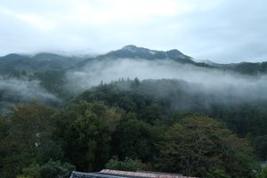 旅行者の写真
