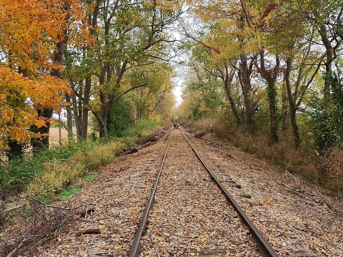 Discover Kentucky's Beauty with Rail Explorers USA Bluegrass Tour