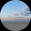 Jasminef_1772