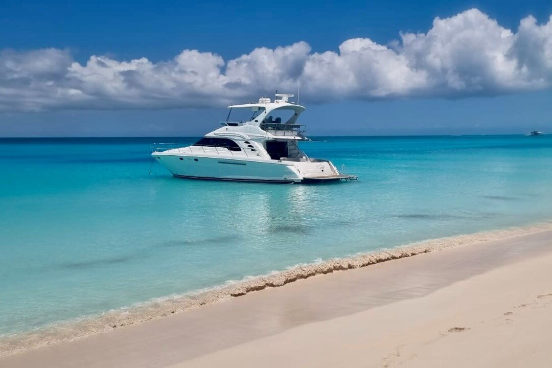 Life Of Luxury (Providenciales) - Alles Wat U Moet Weten VOORDAT Je ...