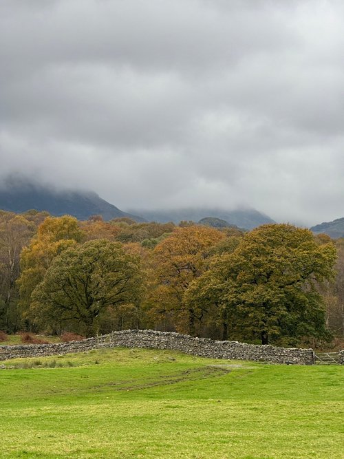 CONISTON PARK COPPICE CARAVAN AND MOTORHOME CLUB CAMPSITE - Campground ...