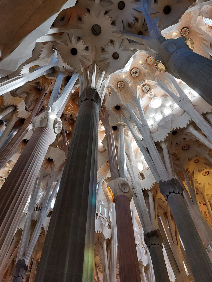 Imagen 3 de Sagrada Familia Home