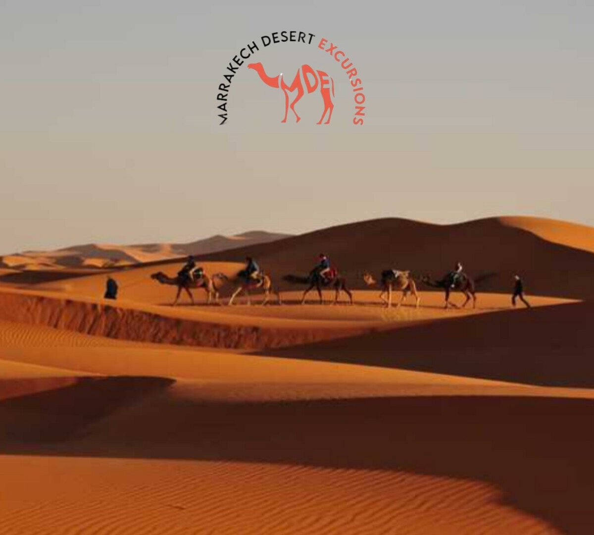 Marrakech Desert Excursions, Марракеш: лучшие советы перед посещением -  Tripadvisor