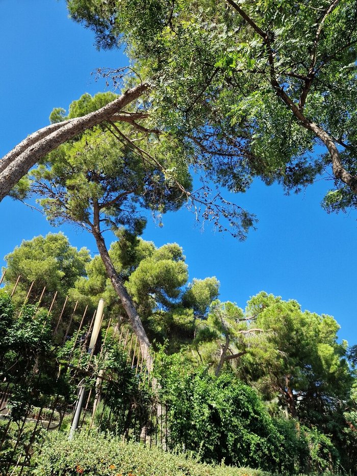 Imagen 6 de Parque Municipal de Salou