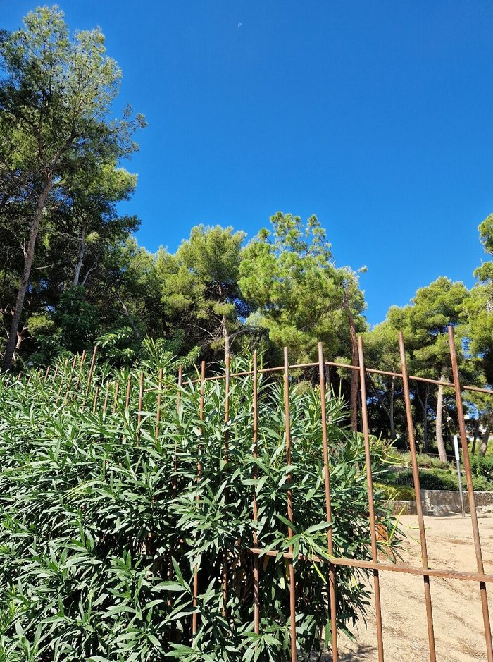 Imagen 3 de Parque Municipal de Salou