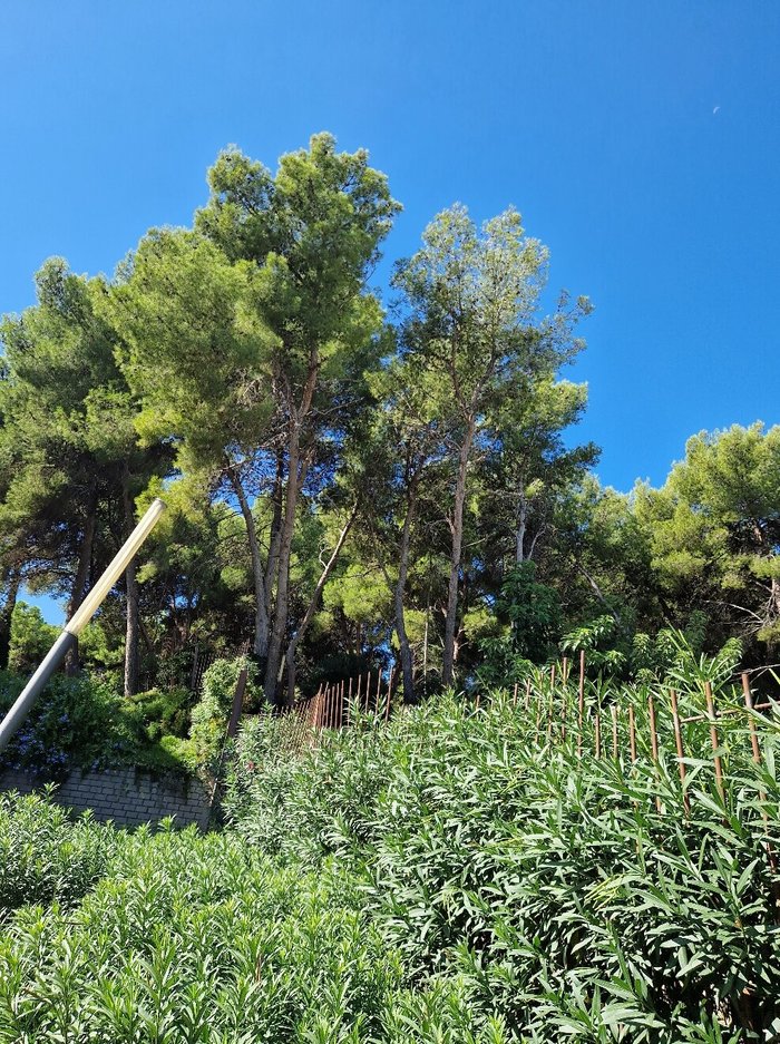 Imagen 2 de Parque Municipal de Salou