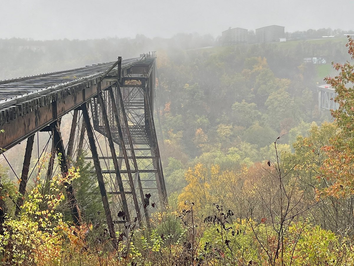 Discover Kentucky's Beauty with Rail Explorers USA Bluegrass Tour