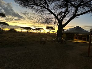 Mawe Tented Camp, Serengeti – Updated 2023 Prices