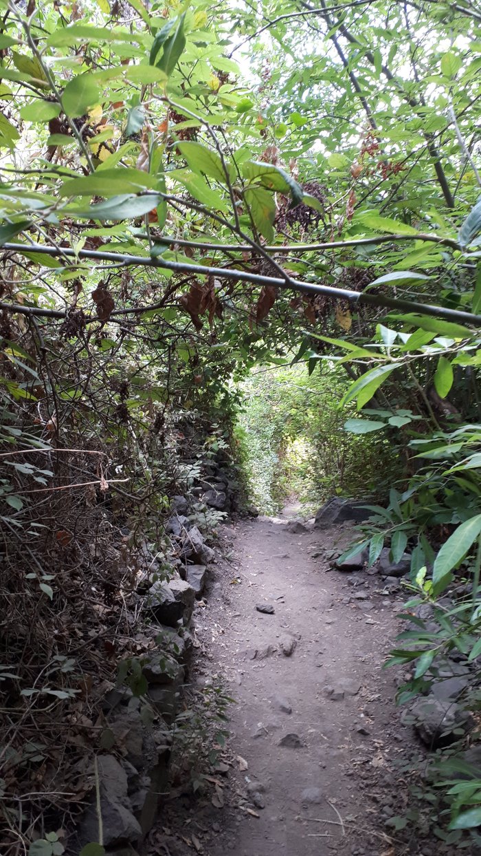 Imagen 2 de Barranco de Masca