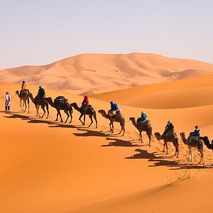 morocco colourful tours reviews