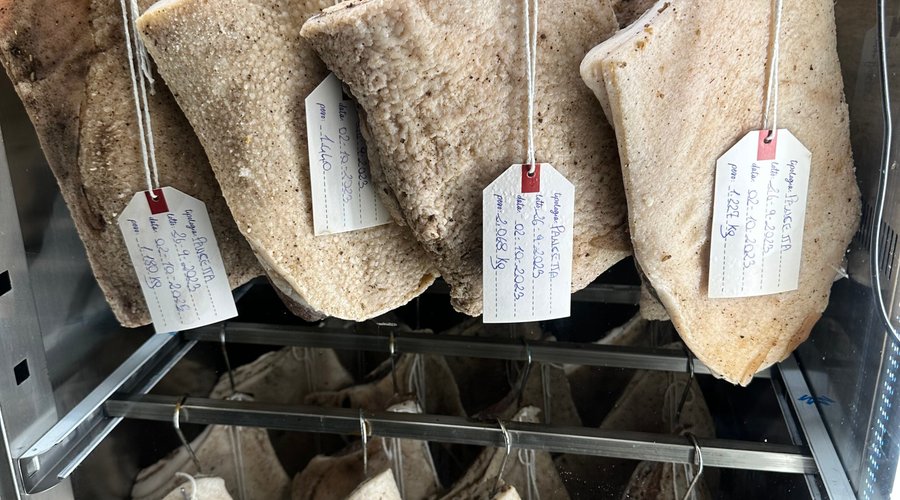 Salumi fatti in casa