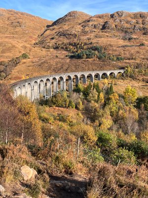 2 Places to Spot a Highland Cow Near Spean Bridge - Distant Hills Guest  House