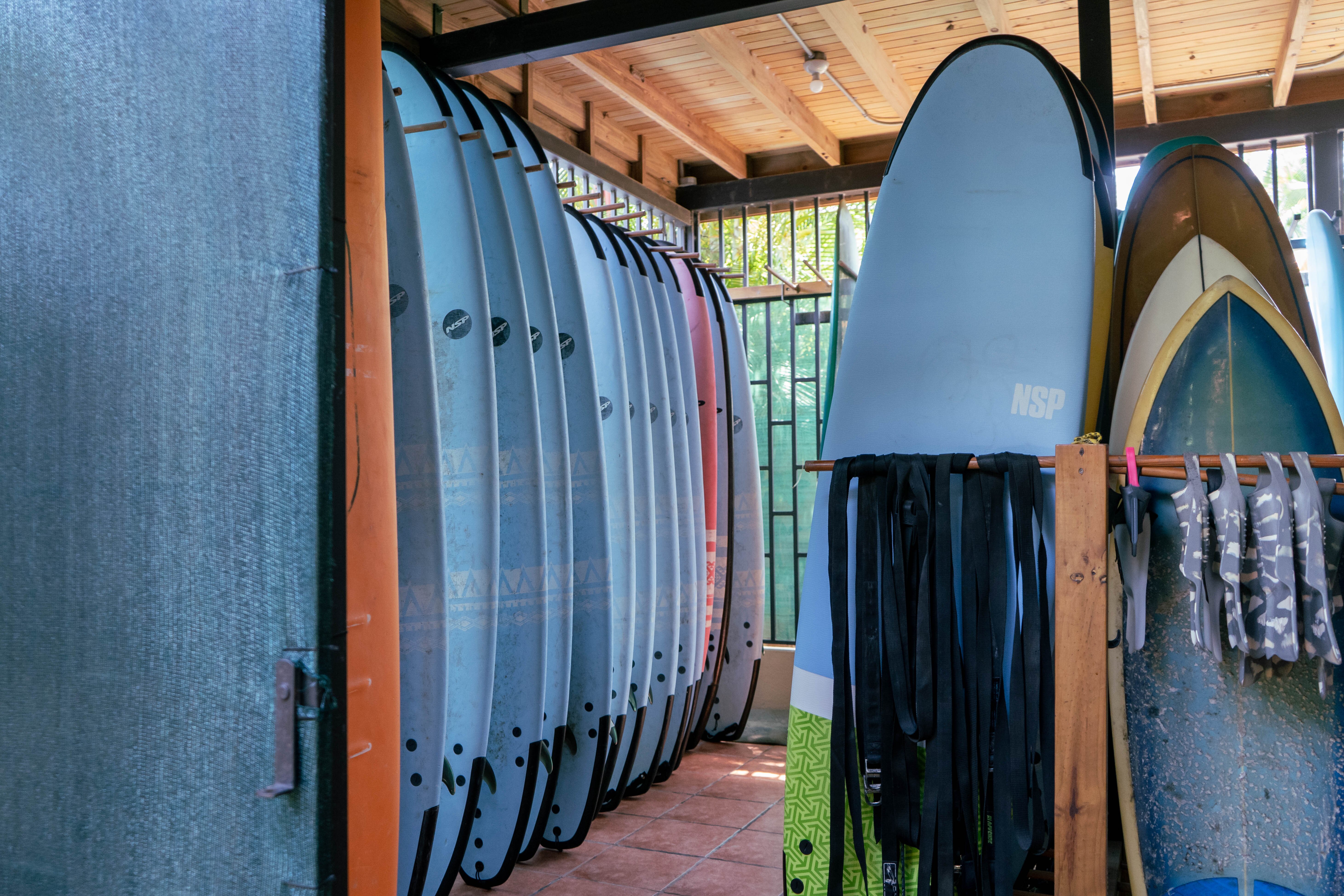 Bodhi deals surf shop