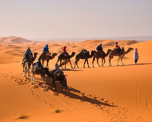 arabian tours rabat