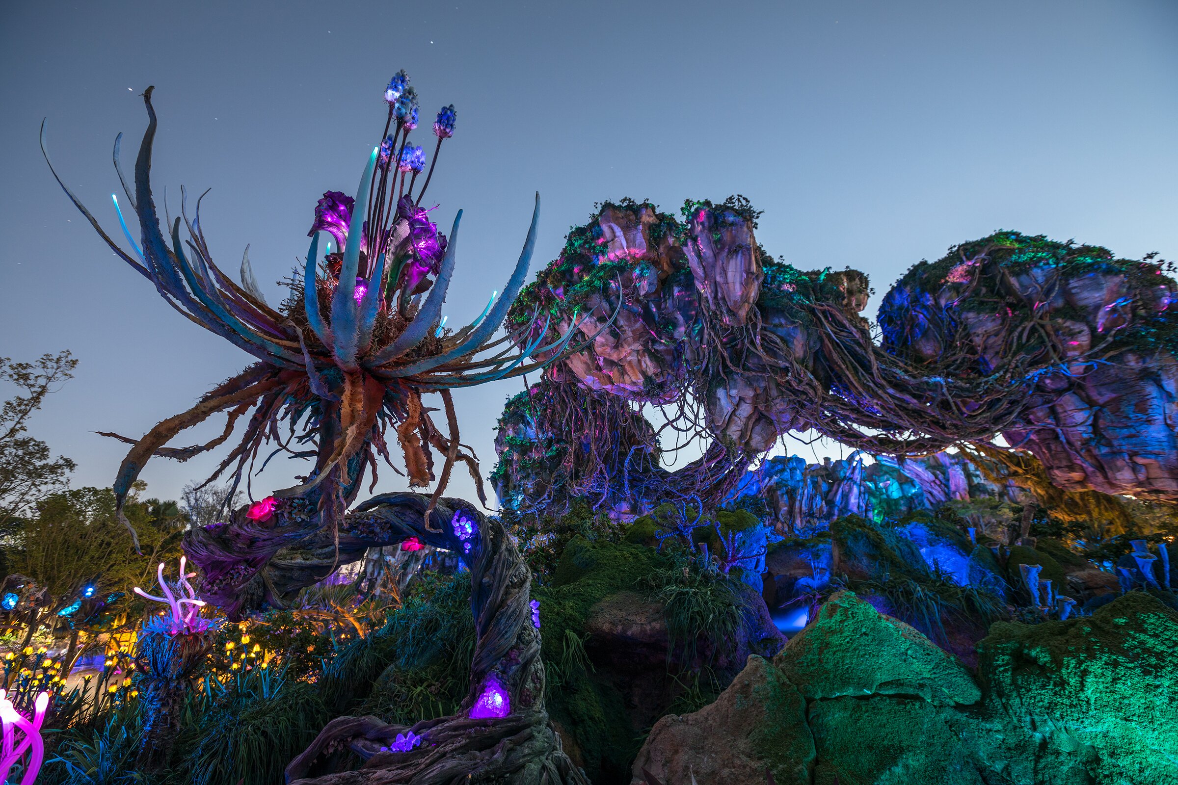 Pandora – The World of Avatar - All You Need to Know BEFORE You Go